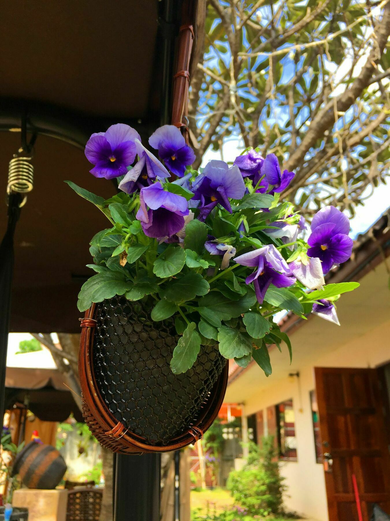 Hotel Cshouse à Chiang Mai Extérieur photo